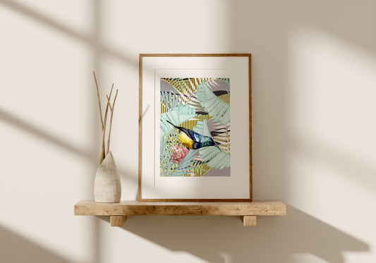 Variable Sunbird Art Print