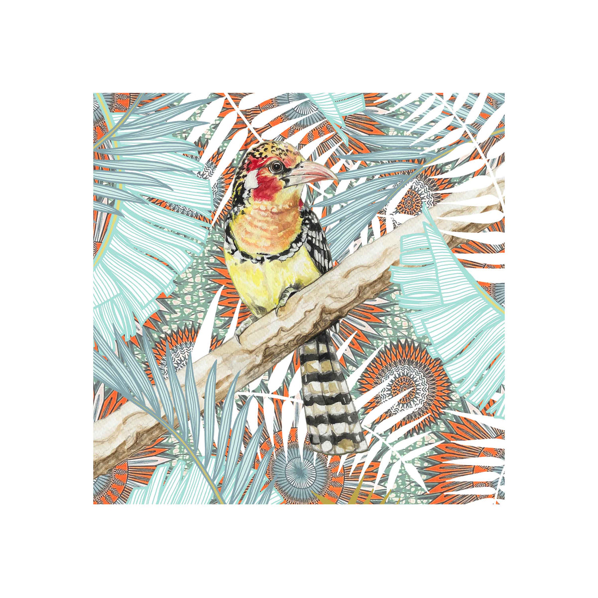 Red & Yellow Barbet Art Print