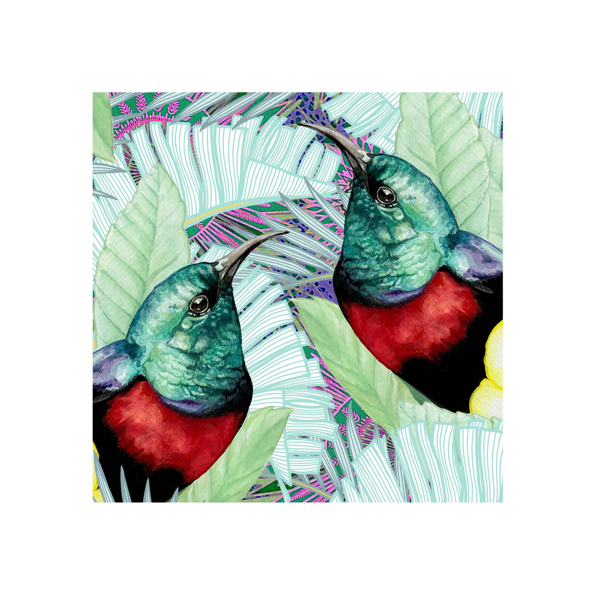 Red Chested Sunbird Art Print