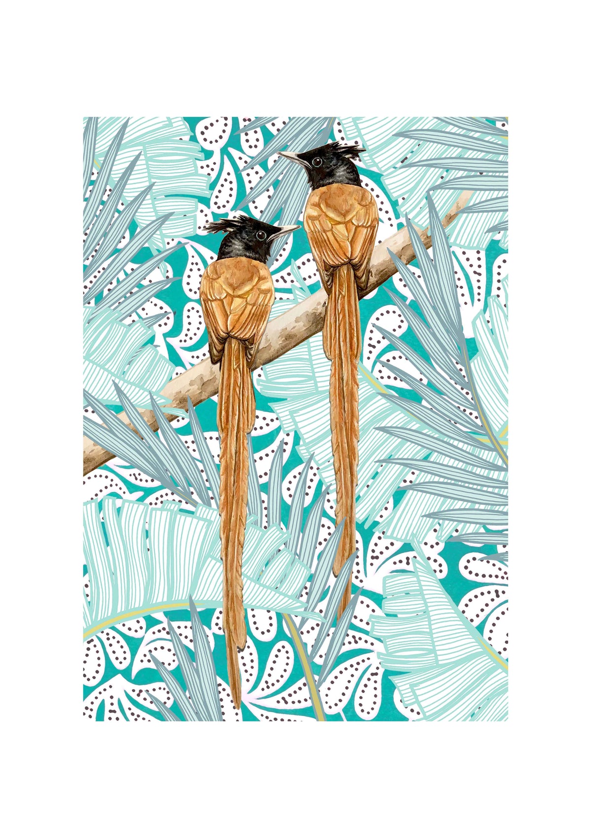 Paradise Fly Catcher Art Print