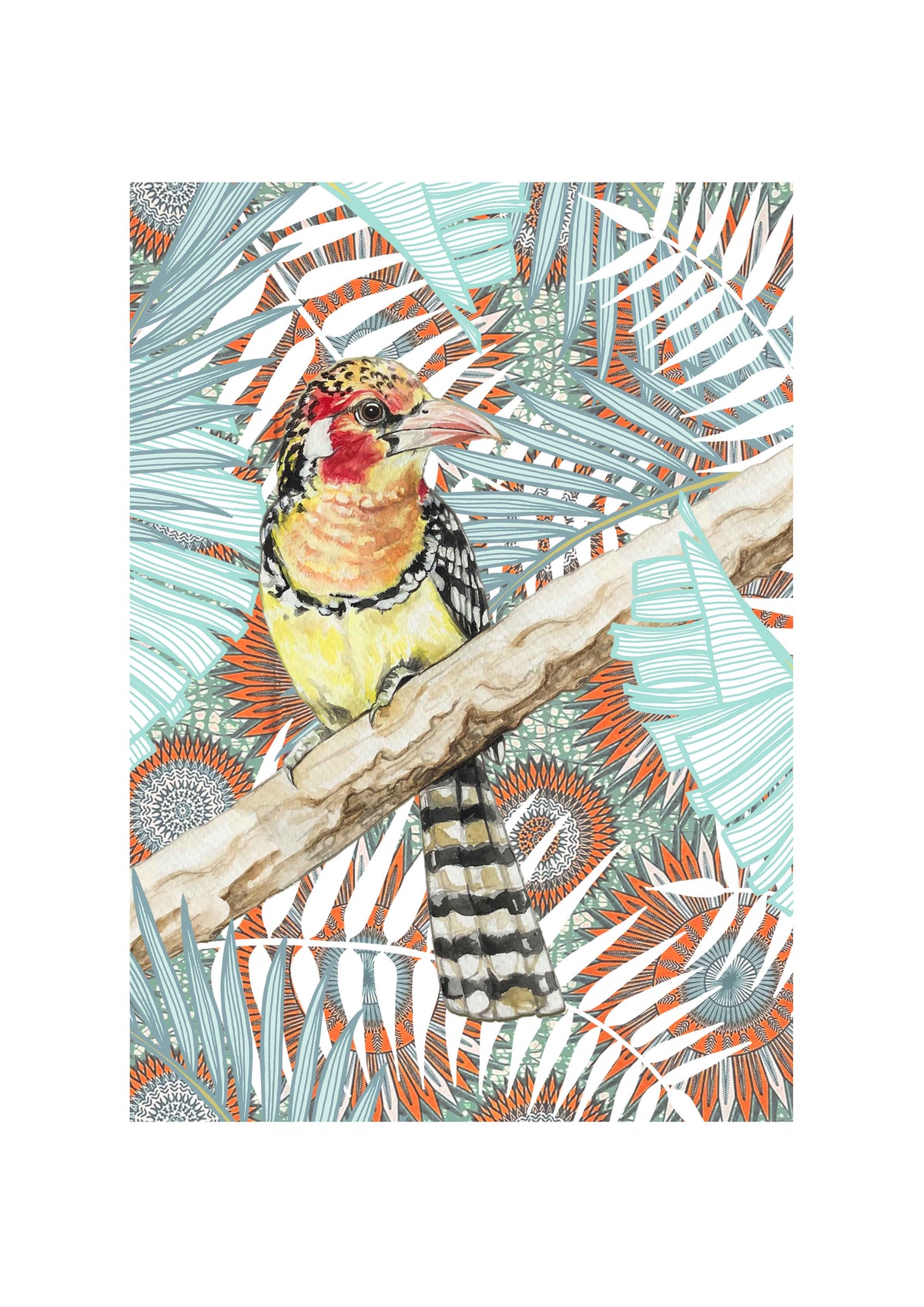 Red & Yellow Barbet Art Print