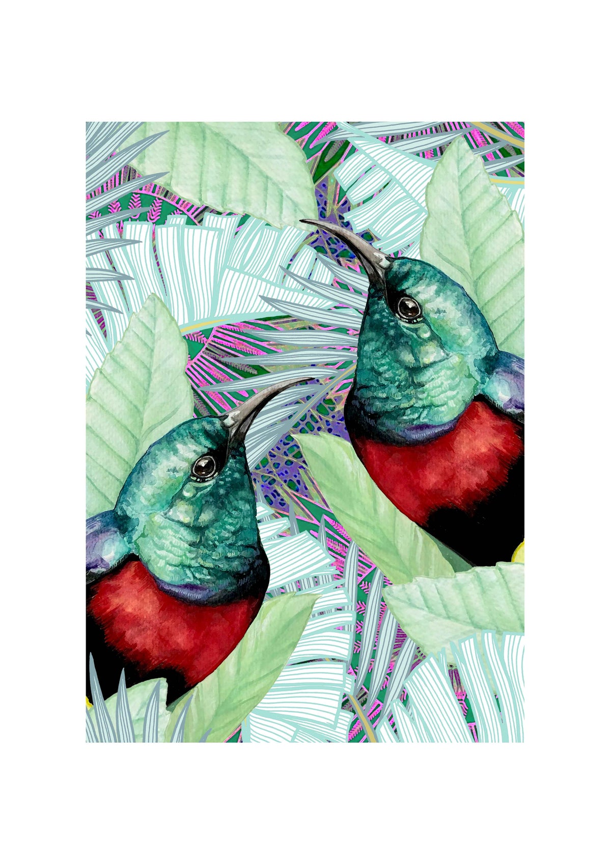 Red Chested Sunbird Art Print