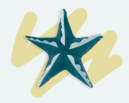 Star Fish Toy